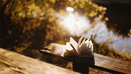 pretty-book-bench-nature-water-outdoors-animated-gif.gif